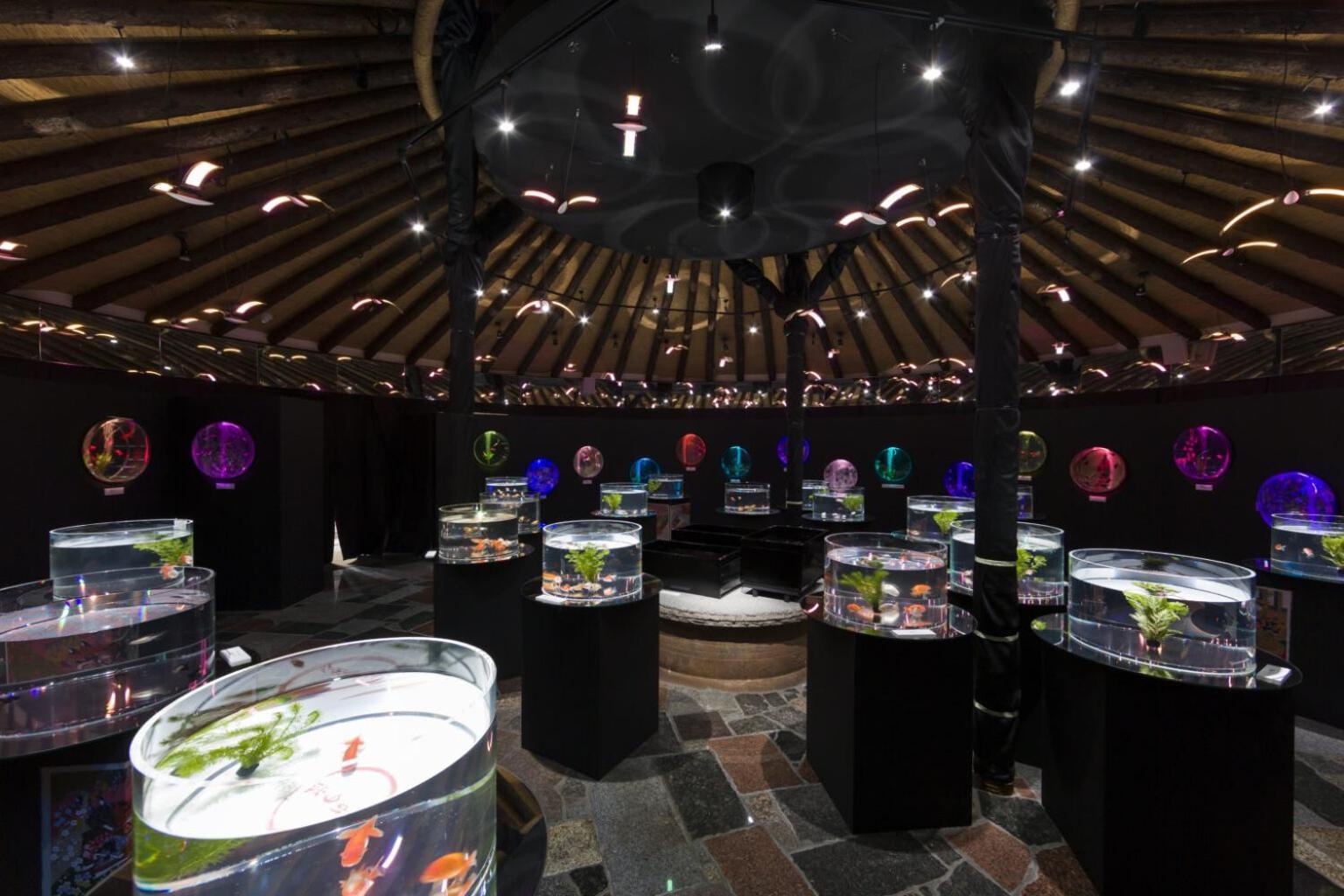 Kogen Tokinosumika Hotel Gotemba